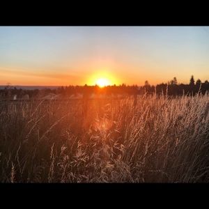 Meet your Posher, Sierra